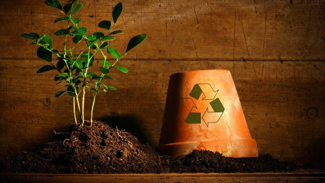 Trash to Treasure: Revolutionizing Waste Removal