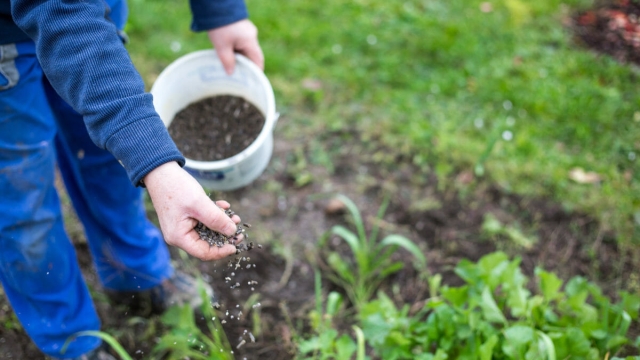 Unleashing the Power of Organic Soils and Fertilizers: A Green Thumb’s Guide