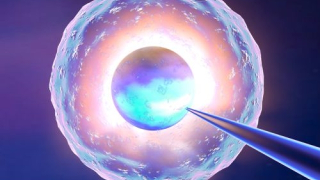 The Revolutionary Potential of Stem Cell Therapy: Unlocking the Future of Medicine