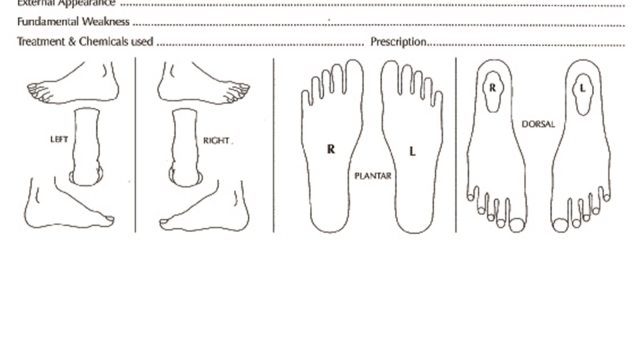 Stepping towards Health: Unveiling Forest Hills Podiatry, Your Local Foot Expert