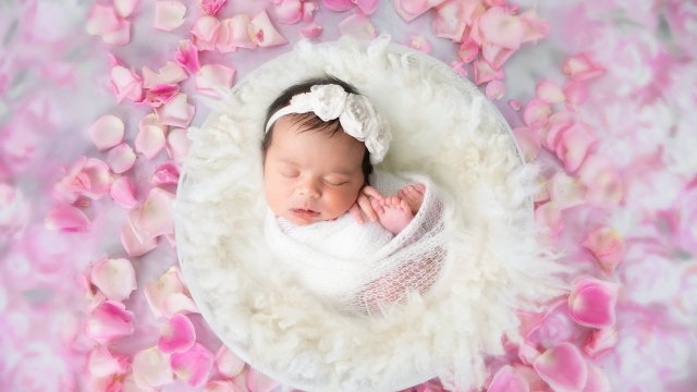 Capturing Tiny Moments: The Art of Newborn Photography