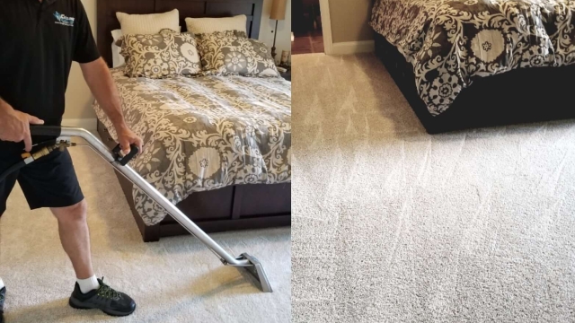 Reviving Your Home: The Ultimate Guide to Carpet Cleaning Secrets