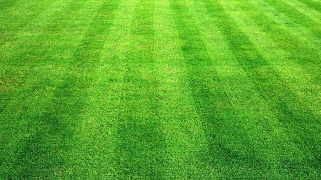 The Ultimate Guide to Achieving Picture-Perfect Lawns: Mastering the Art of Lawn Mowing and Care