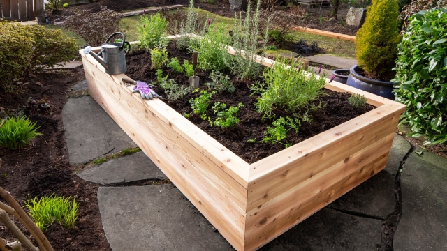 Blooming Bliss: Unveiling the Art of Garden Beds