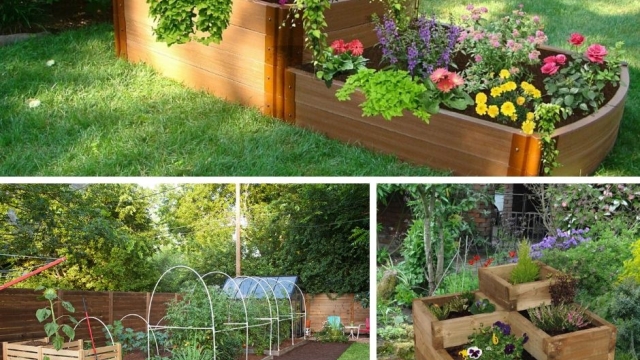 Blooming Dreams: Unleashing the Magic of Garden Beds