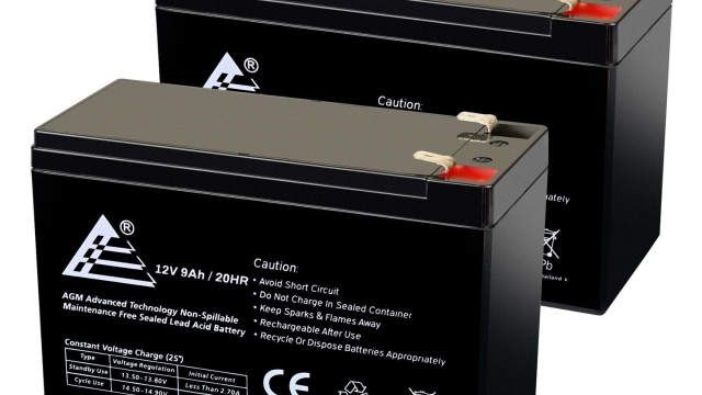 Powering Your Peace of Mind: The Essential Guide to UPS Batteries