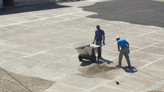Smooth Moves: Transforming Bumpy Concrete into Perfection