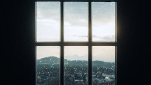 Shades of Comfort: Transform Your Space with Window Tinting Solutions