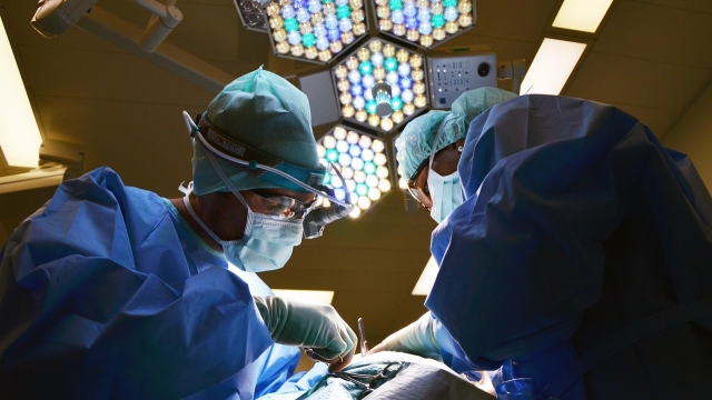 Understanding Palliative Care Definition and Importance Palliative care