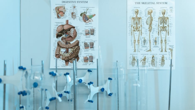Understanding Hormones The Basics of Hormone Function