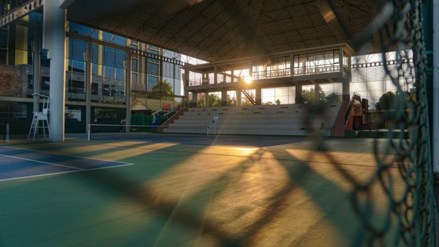 Understanding the Basics of Padel Courts
