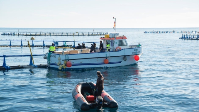 Overview of Aquaculture Management Solutions