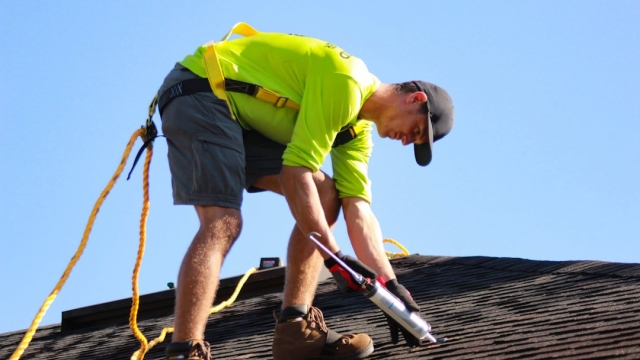 The Essential Guide to Gutter Solutions Insights from royal gutters.com Insights